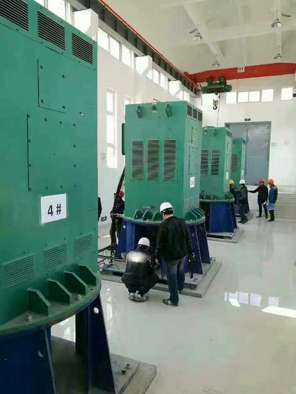 大埔某污水处理厂使用我厂的立式高压电机安装现场