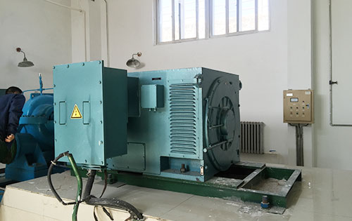 大埔某水电站工程主水泵使用我公司高压电机一年质保